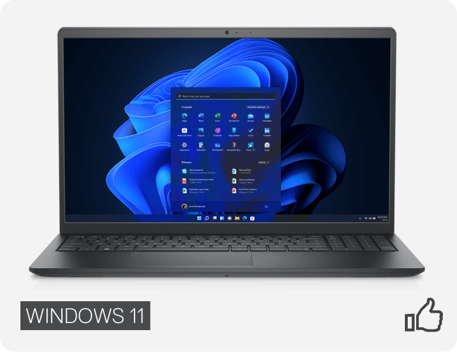 Windows 11